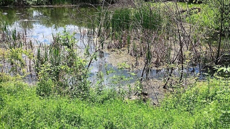 Half-Acre Park - Monroe Township, NJ