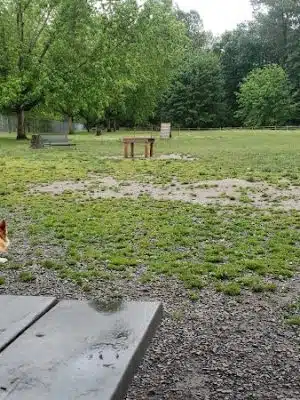 Wiggly Field Dog Park - Monroe, WA