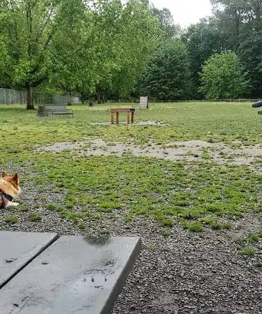 Wiggly Field Dog Park - Monroe, WA