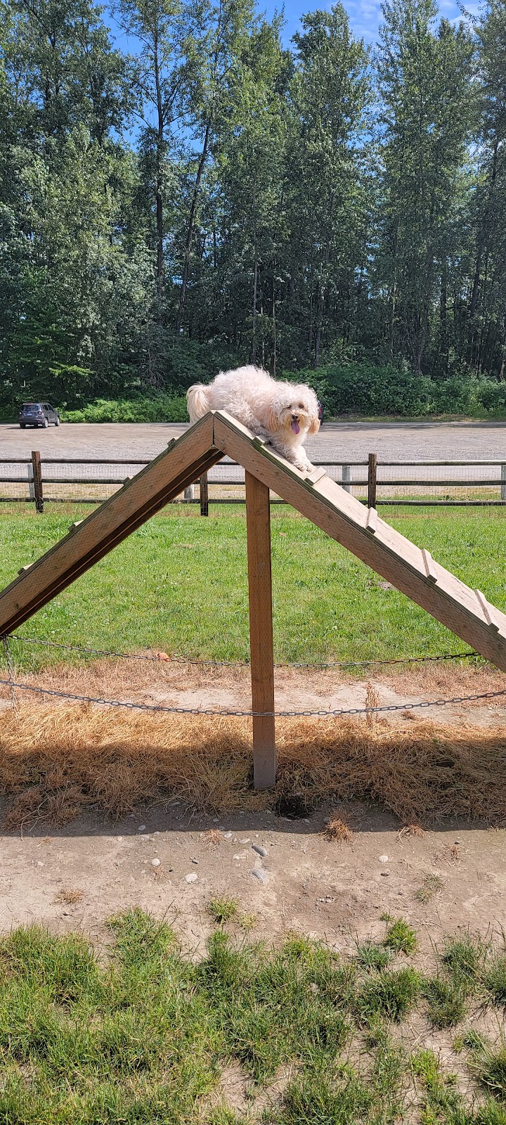 Wiggly Field Dog Park - Monroe, WA