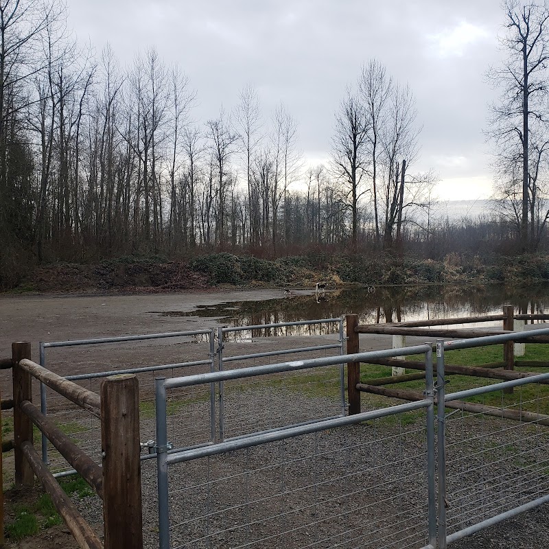 Wiggly Field Dog Park - Monroe, WA