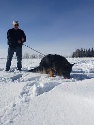 Montpelier Dog Park