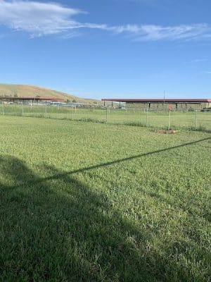 Montpelier Dog Park