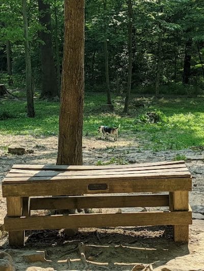 Krepps Dog Park - Morgantown, WV
