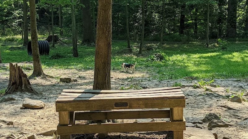 Krepps Dog Park - Morgantown, WV