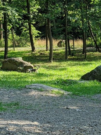 Krepps Dog Park - Morgantown, WV