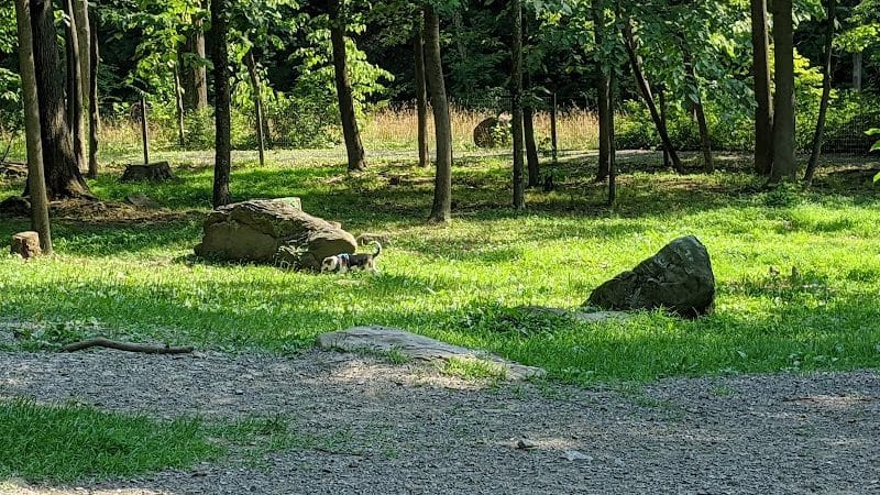 Krepps Dog Park - Morgantown, WV