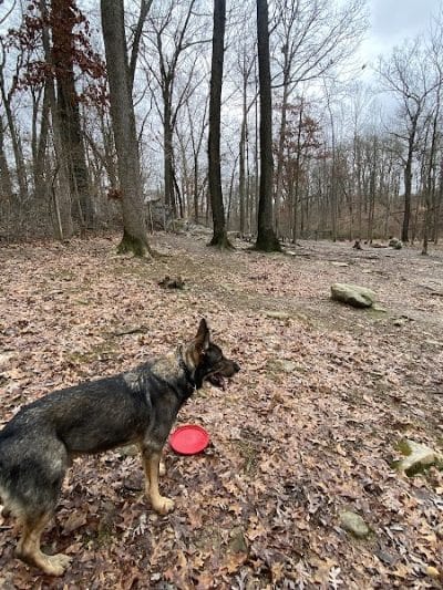 Krepps Dog Park - Morgantown, WV