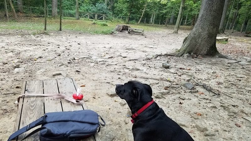 Krepps Dog Park - Morgantown, WV