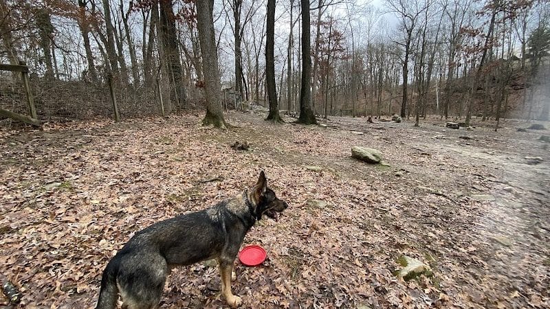 Krepps Dog Park - Morgantown, WV