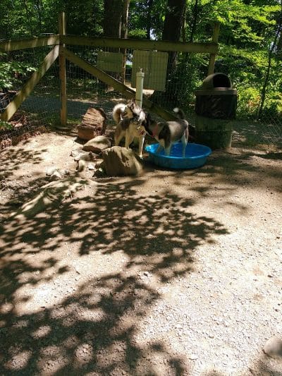 Krepps Dog Park - Morgantown, WV