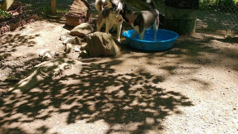 Krepps Dog Park - Morgantown, WV