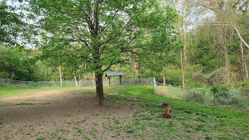 Stanley's Spot Dog Park - Morgantown, WV