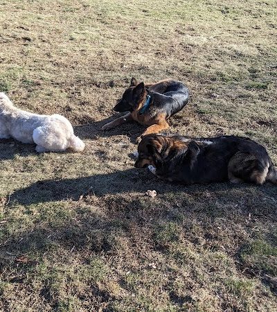 Happy Hound Playground - Morris Plains, NJ