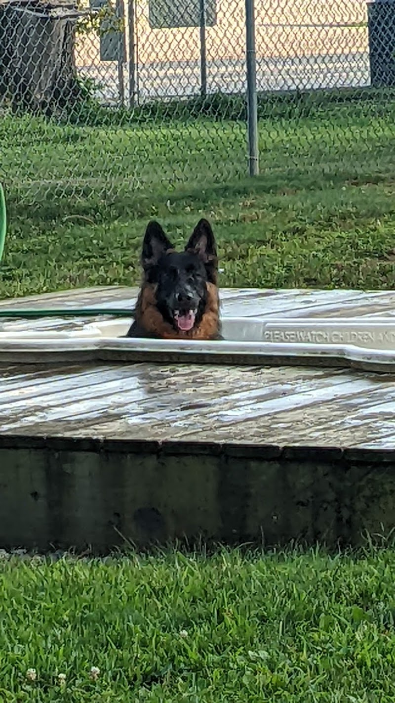Happy Hound Playground - Morris Plains, NJ