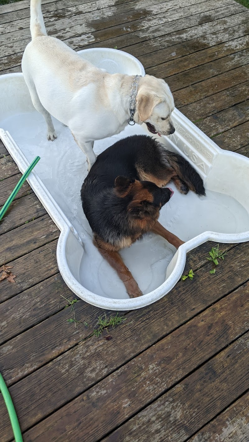 Happy Hound Playground - Morris Plains, NJ