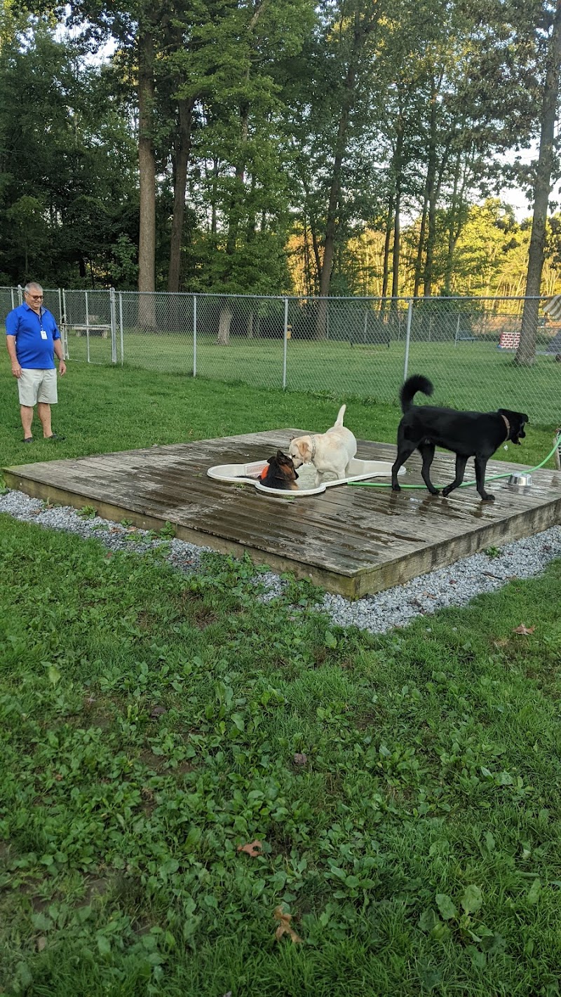 Happy Hound Playground - Morris Plains, NJ