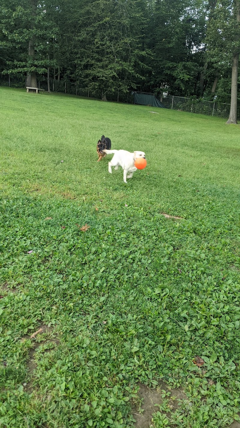 Happy Hound Playground - Morris Plains, NJ