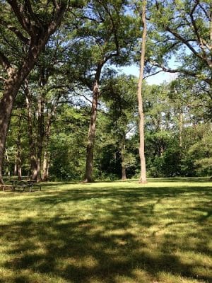 Oakwood Dog Park - Morton, IL