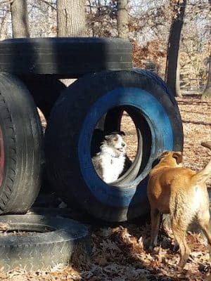 Oakwood Dog Park - Morton, IL