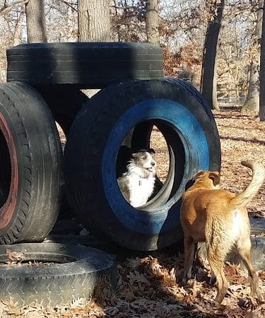 Oakwood Dog Park - Morton, IL