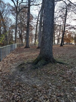 Oakwood Dog Park - Morton, IL