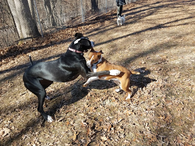 Oakwood Dog Park - Morton, IL