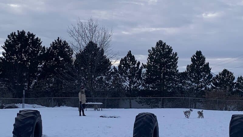 Moscow Dog Park - Moscow, ID