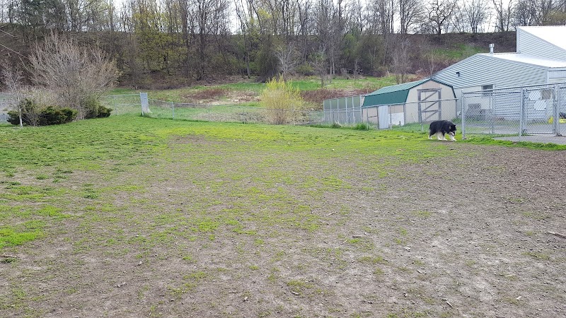 Moscow Dog Park - Moscow, ID