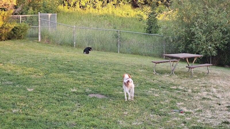 Moscow Dog Park - Moscow, ID