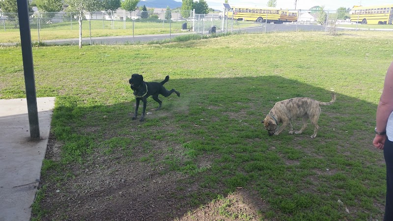 Moscow Dog Park - Moscow, ID