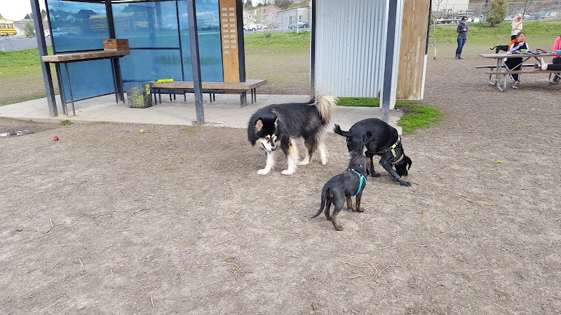 Moscow Dog Park - Moscow, ID