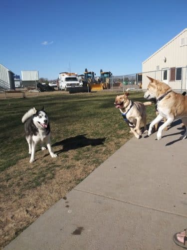 Happy Tails Dog Park