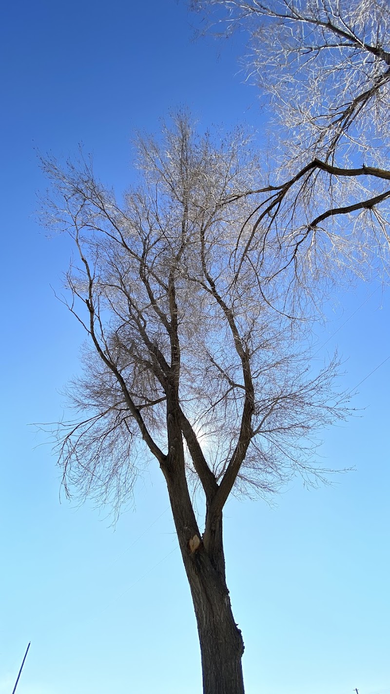 Happy Tails Dog Park