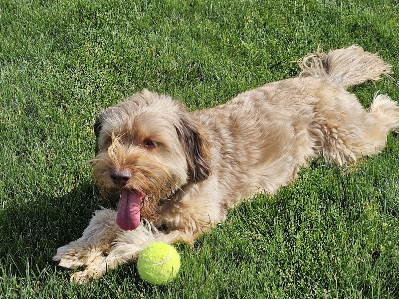 Happy Tails Dog Park