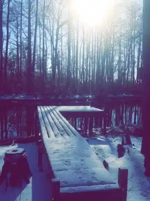 Paw’s Moyock 18 Acre Dog Park - Moyock, NC