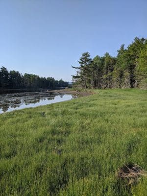 Babson Creek Preserve