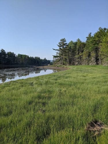 Babson Creek Preserve