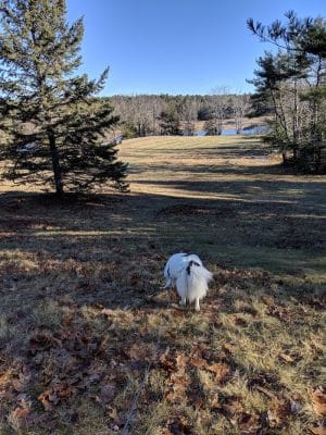 Babson Creek Preserve