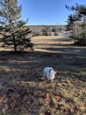 Babson Creek Preserve