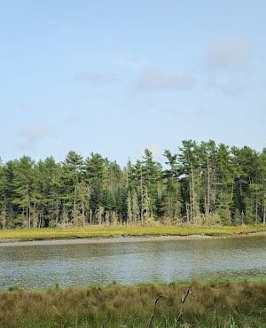 Babson Creek Preserve