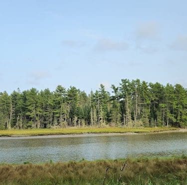 Babson Creek Preserve