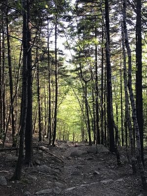 Bubbles Divide Trail