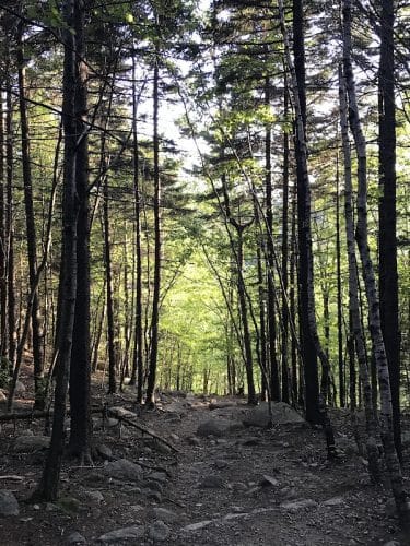 Bubbles Divide Trail