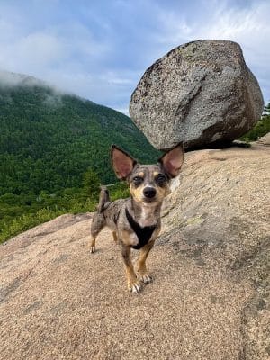 Bubbles Divide Trail