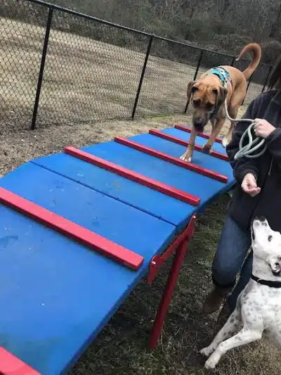 Gardendale Dog Park - Mt Olive, AL