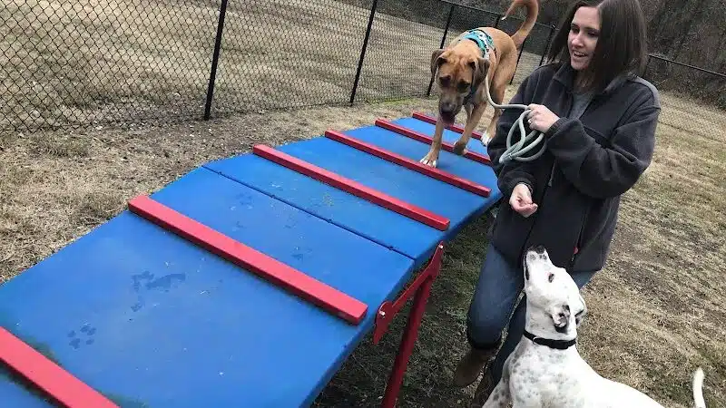 Gardendale Dog Park - Mt Olive, AL