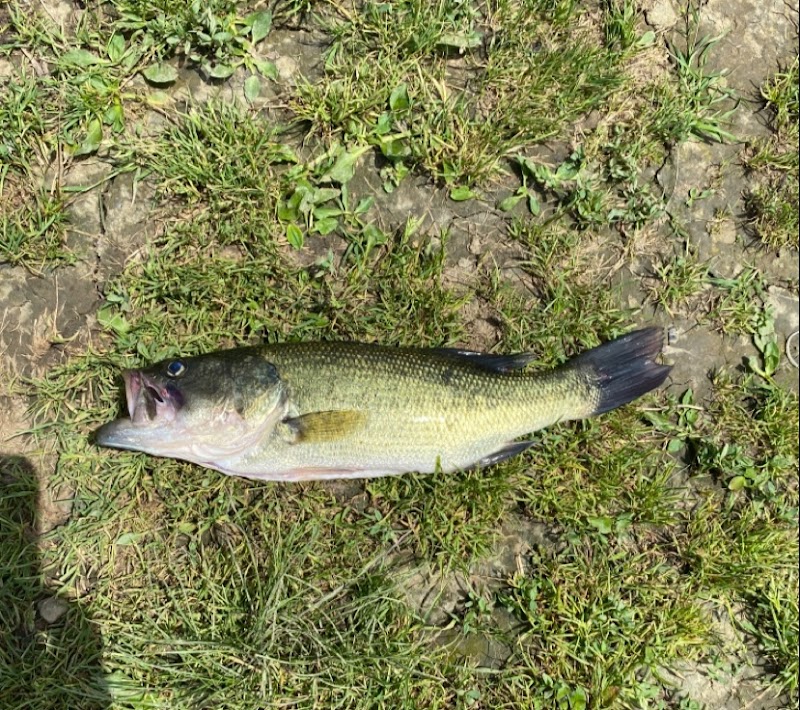 Bridgeport Dam Park - Mt Pleasant, PA