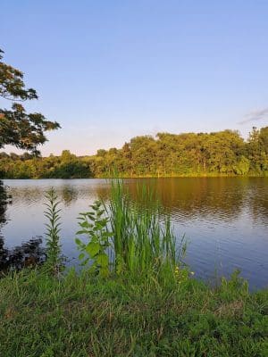 Bridgeport Dam Park