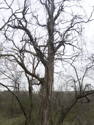 Jacobs Creek Park, Back Entrance